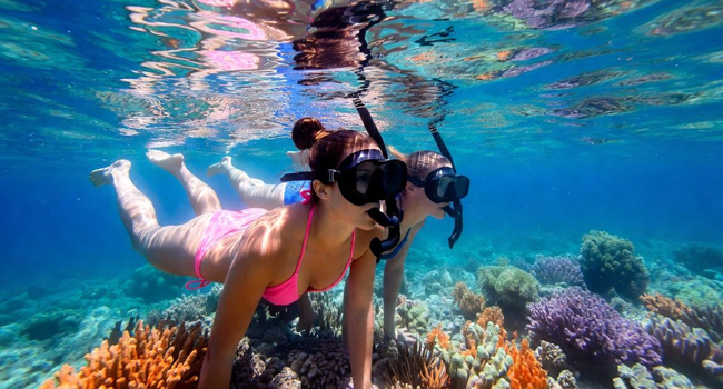 Bildungsurlaub Cairns Australien mit LISA! – Englisch lernen, Natur und unvergessliche Erlebnisse Erwachsene schnorcheln am Great Barrier Reef bei Cairns während eines LISA! Bildungsurlaubs erleben Unterwasserwelt und lernen Englisch