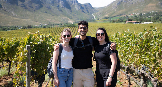 Erwachsene in Weinbergen bei Kapstadt während eines LISA! Bildungsurlaubs genießen Natur, Landschaft und lernen Englisch