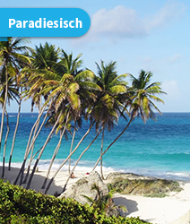 LISA-Sprachreisen-Englisch-Barbados-Paradiesisch