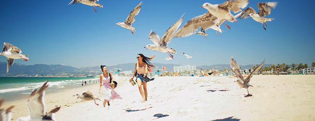 LISA-Sprachreisen-Englisch-Los-Angeles-Hollywood-Strand-Meer-baden-Kalifornien-Sonne-Moewen-Surfen-Maedchen