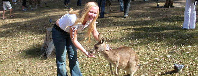 LISA-Sprachreisen-Erwachsene-Englisch-Australien-Brisbane-Ausflug-Tiere-Fuettern-Park