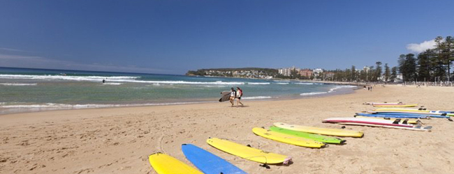 Surfspass am Meer in Sydney bei einer LISA! Sprachreise Bucht in Sydney mit Surfbrettern am Strand