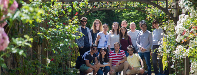 LISA-Sprachreisen-Erwachsene-Englisch-England-Cardiff-Wales-Ausflug-Garten-Rosen LISA-Sprachreisen-Erwachsene-Englisch-England-Cardiff-Wales-Ausflug-Garten-Rosen