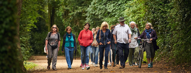 Eine Gruppe von Wanderern geht gemeinsam durch einen Wald bei einem Englisch-Sprachkurs in Jersey