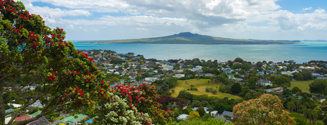 LISA-Sprachreisen-Erwachsene-Englisch-Neuseeland-Aotearoa-Auckland-Ausflug-Rangitoto-Island