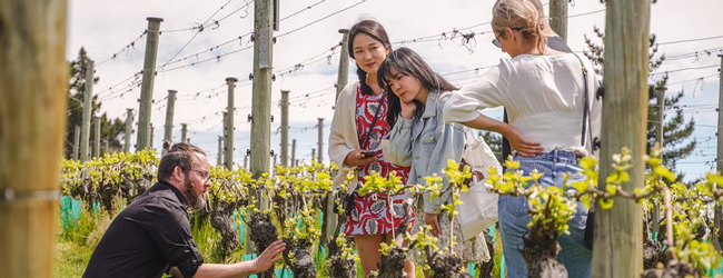 LISA-Sprachreisen-Erwachsene-Englisch-Neuseeland-Queenstown-Freizeit-Ausflug-Wein-Tour LISA-Sprachreisen-Erwachsene-Englisch-Neuseeland-Queenstown-Freizeit-Ausflug-Wein-Tour