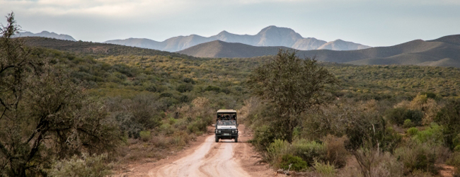 LISA-Sprachreisen-Erwachsene-Englisch-Suedafrika-Kapstadt-Central-Ausflug-Safari-Berge-Jeep