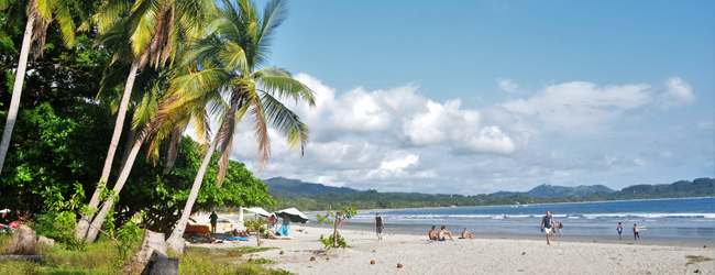 LISA-Sprachreisen-Erwachsene-Spanisch-Costa-Rica-Samara-Beach-Palmen-Strand-Wellen-Kokos