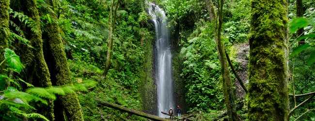LISA-Sprachreisen-Erwachsene-Spanisch-Panama-Boquete-Ausflug-Regenwald-Wasserfall-Fluss