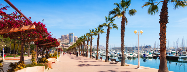 LISA-Sprachreisen-Erwachsene-Spanisch-Spanien-Alicante-Hafen-Promenade-Spaziergang-Boote