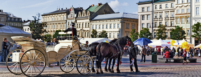 LISA-Sprachreisen-Erwachsene-Sprachreisen-Polnisch-Polen-Krakau-Markt-Platz-Kutsche-Pferde