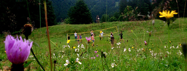 Volleyballspiel mitten in den Bergen bei einer LISA! Sprachreise in München Kinder spielen Volleyball mitten auf einer alpenländischen Wiese in den Bergen mit Wiesenblumen